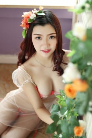 在线观看免费历史记录_DVD全集免费播放